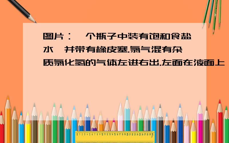 图片：一个瓶子中装有饱和食盐水,并带有橡皮塞.氯气混有杂质氯化氢的气体左进右出.左面在液面上,右边伸入液面.这个实验要除氯化氢.要求：指出该试验的错误.