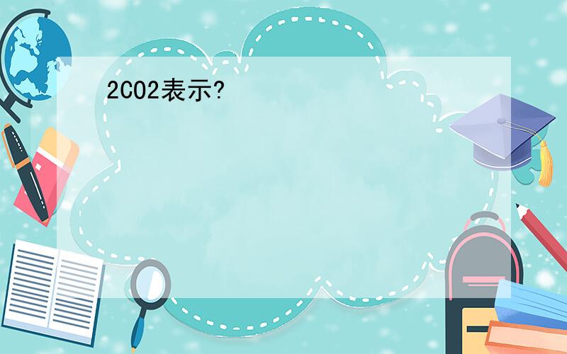 2CO2表示?