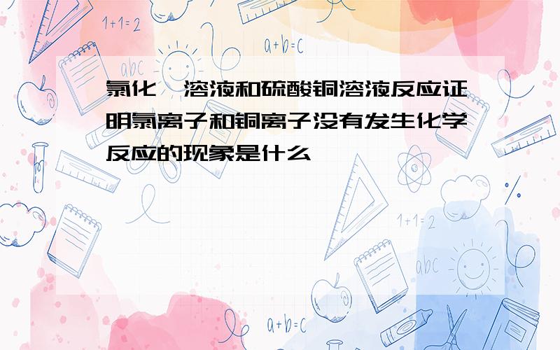 氯化钡溶液和硫酸铜溶液反应证明氯离子和铜离子没有发生化学反应的现象是什么