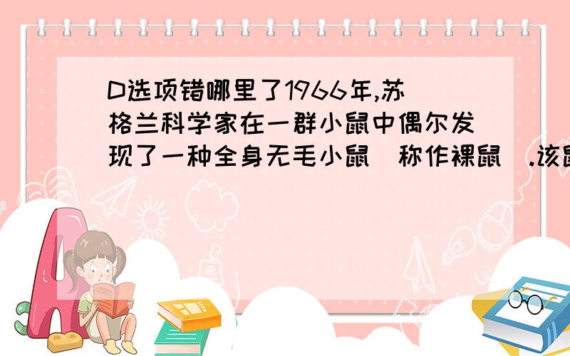 D选项错哪里了1966年,苏格兰科学家在一群小鼠中偶尔发现了一种全身无毛小鼠（称作裸鼠）.该鼠生长不良,繁殖力低下,易发生严重感染；1968年科学家对裸鼠进行解剖时发现,裸鼠体内胸腺缺