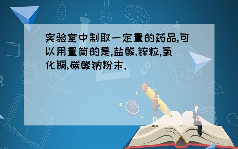 实验室中制取一定量的药品,可以用量筒的是,盐酸,锌粒,氧化铜,碳酸钠粉末.