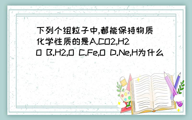 下列个组粒子中,都能保持物质化学性质的是A.CO2,H2O B.H2,O C.Fe,O D.Ne,H为什么