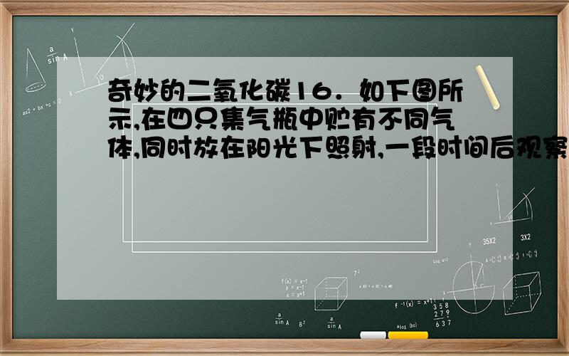 奇妙的二氧化碳16．如下图所示,在四只集气瓶中贮有不同气体,同时放在阳光下照射,一段时间后观察支管中左右液面相差的高度.请回答：（1）该实验的目的是 ； （2）实验进行一段时间后,U