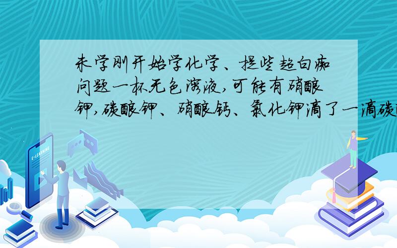 未学刚开始学化学、提些超白痴问题一杯无色溶液,可能有硝酸钾,碳酸钾、硝酸钙、氯化钾滴了一滴碳酸钠,产生沉淀那么一定不含什么