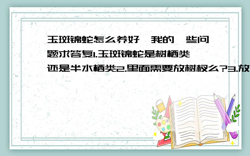 玉斑锦蛇怎么养好,我的一些问题求答复1.玉斑锦蛇是树栖类还是半水栖类2.里面需要放树杈么?3.放到电视机旁边可以吗?它刚来家里,店主说过3、5天再来买老鼠,我把箱子放到电视机旁边它几天