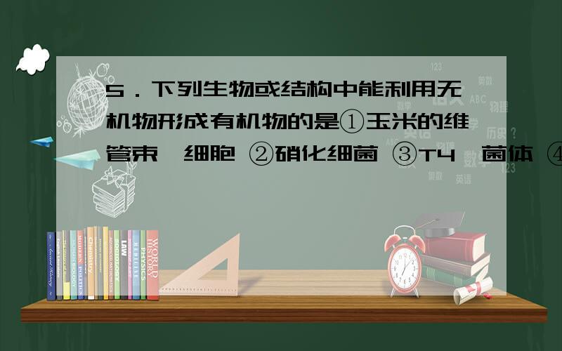 5．下列生物或结构中能利用无机物形成有机物的是①玉米的维管束鞘细胞 ②硝化细菌 ③T4噬菌体 ④核糖体 ⑤线粒体A．①②③④⑤ B．②④ C．①②⑤ D．①④⑤为什么线粒体也可以呢？