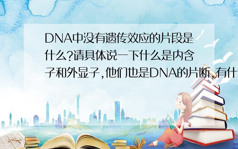 DNA中没有遗传效应的片段是什么?请具体说一下什么是内含子和外显子,他们也是DNA的片断,有什么作用?