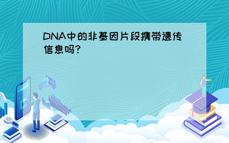 DNA中的非基因片段携带遗传信息吗?