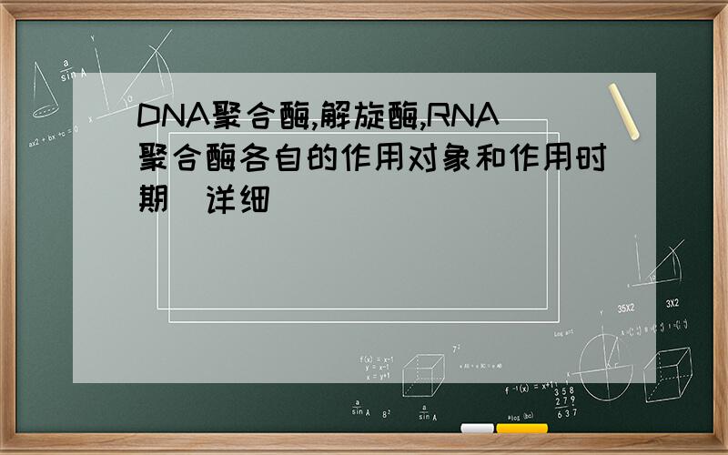 DNA聚合酶,解旋酶,RNA聚合酶各自的作用对象和作用时期（详细）