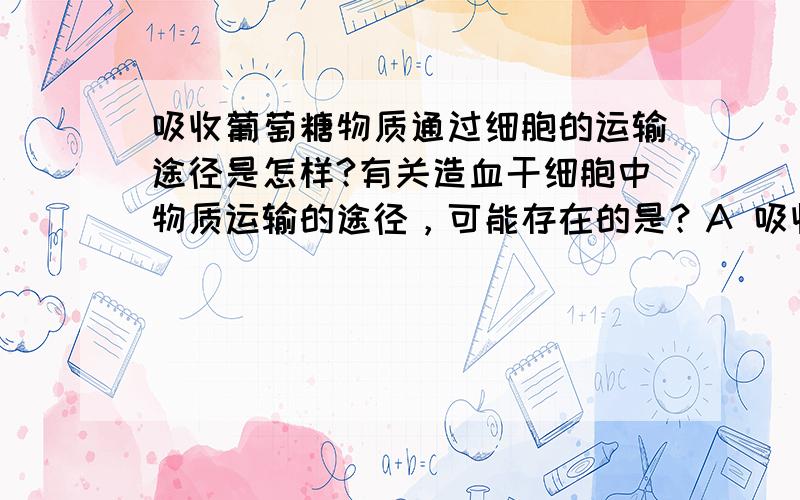 吸收葡萄糖物质通过细胞的运输途径是怎样?有关造血干细胞中物质运输的途径，可能存在的是？A 吸收的葡萄糖：细胞膜—细胞质基质—线粒体要怎样变 A选项 才正确