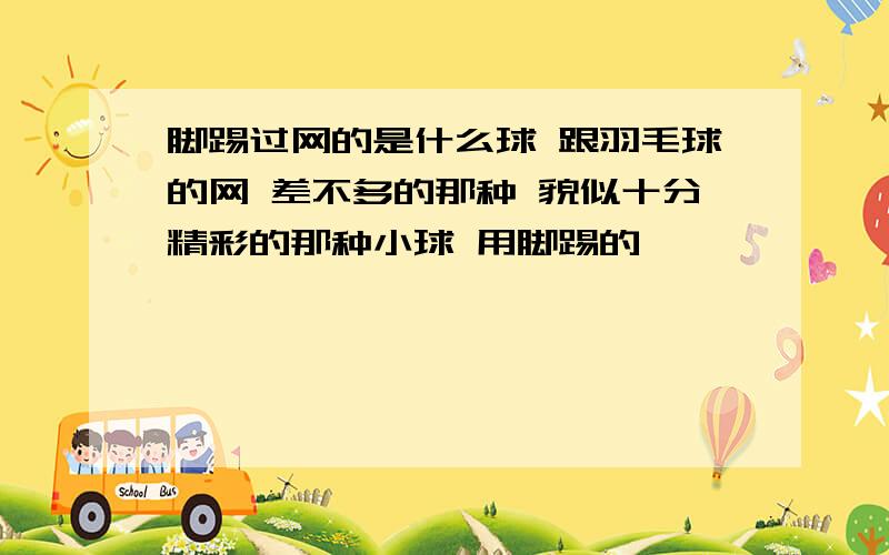 脚踢过网的是什么球 跟羽毛球的网 差不多的那种 貌似十分精彩的那种小球 用脚踢的