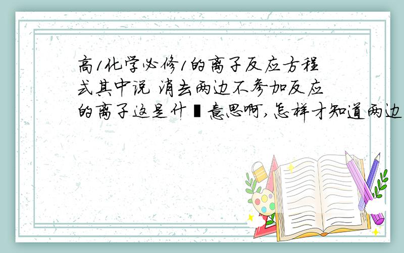 高1化学必修1的离子反应方程式其中说 消去两边不参加反应的离子这是什麽意思啊,怎样才知道两边的那些离子不参加反应呢?最好有例子