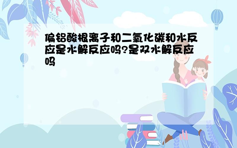 偏铝酸根离子和二氧化碳和水反应是水解反应吗?是双水解反应吗