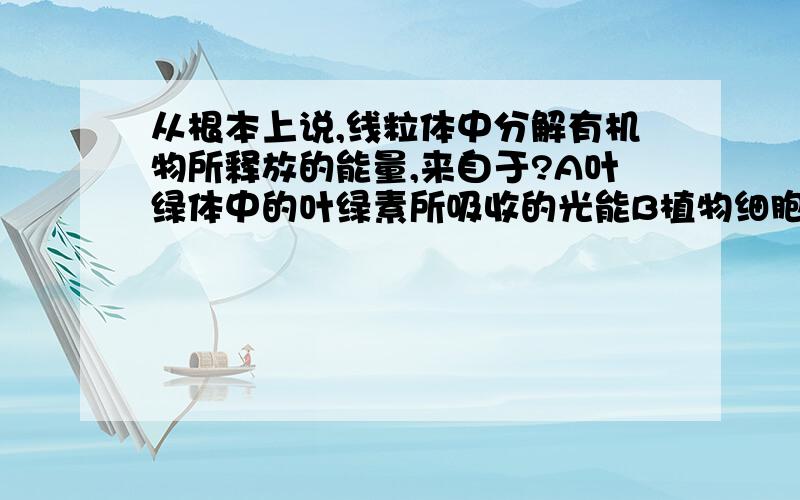 从根本上说,线粒体中分解有机物所释放的能量,来自于?A叶绿体中的叶绿素所吸收的光能B植物细胞来自于光能,动物细胞来食物C有机物中的化学能D由化学能转化而来的能量