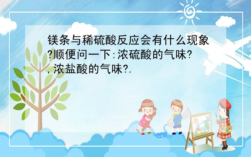 镁条与稀硫酸反应会有什么现象?顺便问一下:浓硫酸的气味?,浓盐酸的气味?.