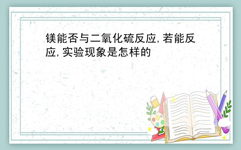 镁能否与二氧化硫反应,若能反应,实验现象是怎样的