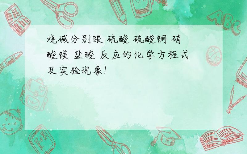 烧碱分别跟 硫酸 硫酸铜 硝酸镁 盐酸 反应的化学方程式及实验现象!