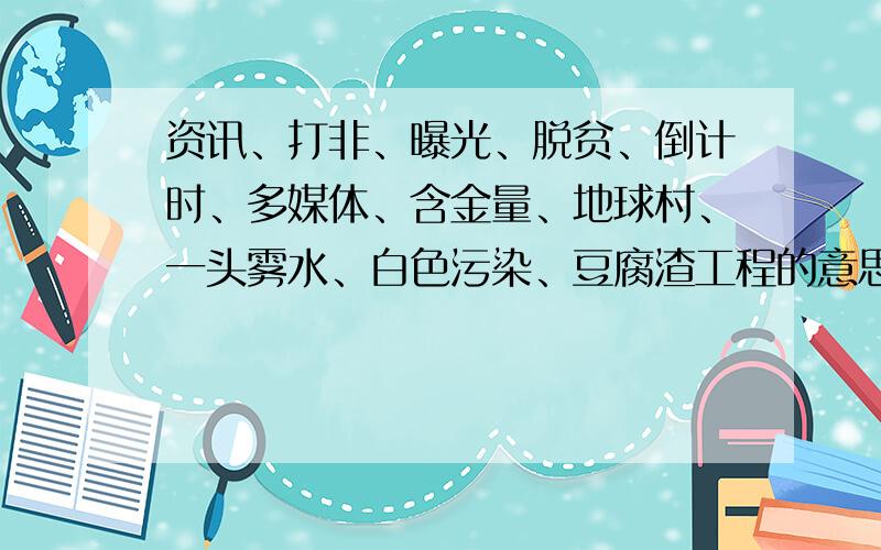 资讯、打非、曝光、脱贫、倒计时、多媒体、含金量、地球村、一头雾水、白色污染、豆腐渣工程的意思