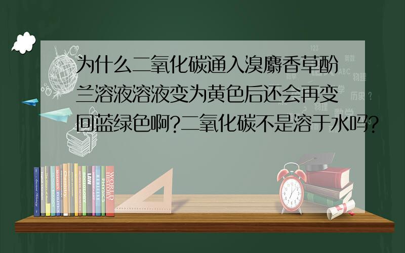 为什么二氧化碳通入溴麝香草酚兰溶液溶液变为黄色后还会再变回蓝绿色啊?二氧化碳不是溶于水吗?