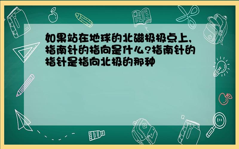 如果站在地球的北磁极极点上,指南针的指向是什么?指南针的指针是指向北极的那种