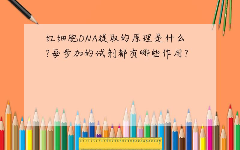 红细胞DNA提取的原理是什么?每步加的试剂都有哪些作用?