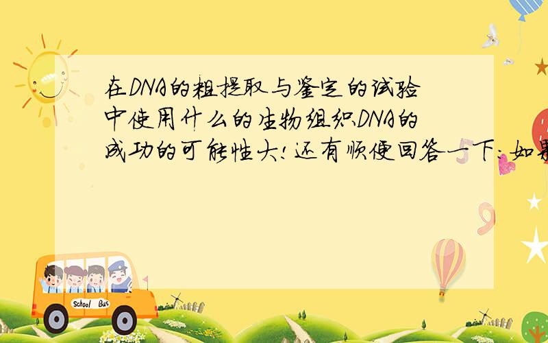 在DNA的粗提取与鉴定的试验中使用什么的生物组织DNA的成功的可能性大!还有顺便回答一下：如果实验材料是植物细胞则需要先加什么来溶解细胞膜。