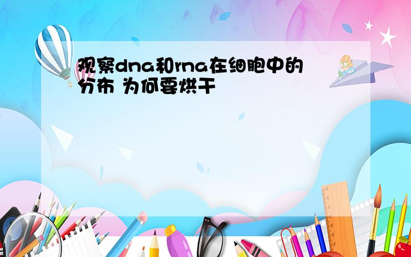 观察dna和rna在细胞中的分布 为何要烘干