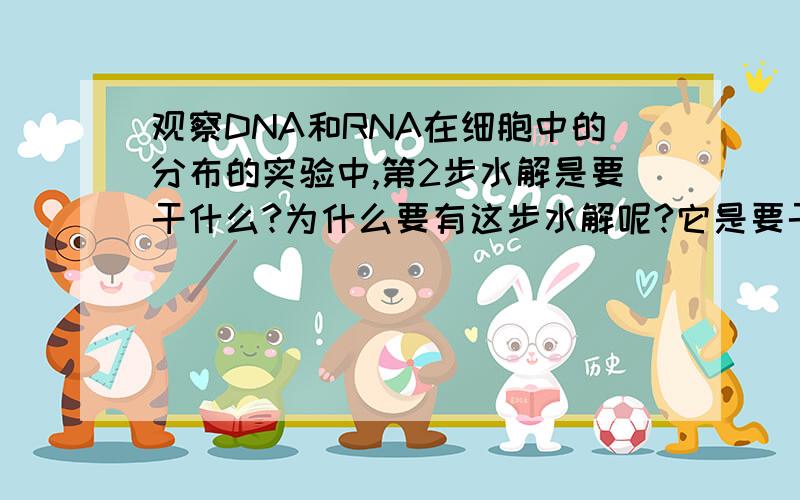 观察DNA和RNA在细胞中的分布的实验中,第2步水解是要干什么?为什么要有这步水解呢?它是要干什么?