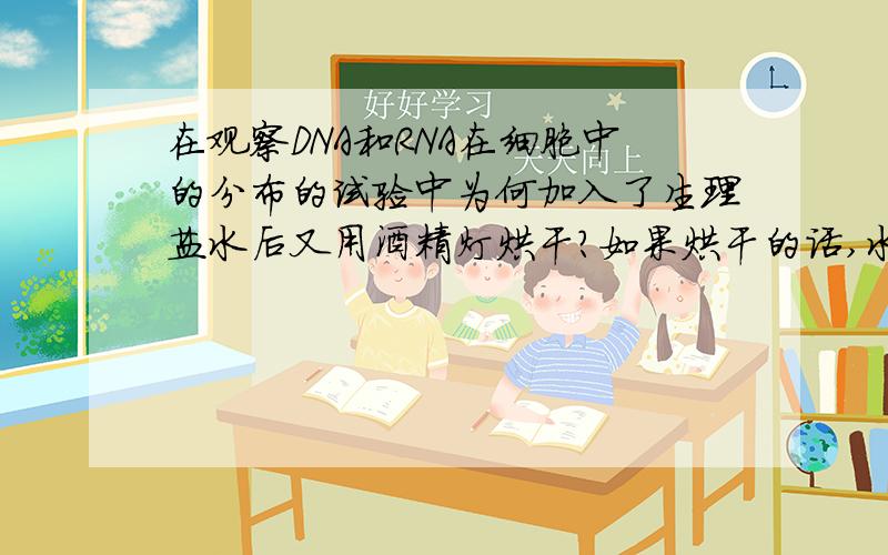 在观察DNA和RNA在细胞中的分布的试验中为何加入了生理盐水后又用酒精灯烘干?如果烘干的话,水分蒸发就不是0.9%nacl的生理盐水啦...这样生物的形态就会变咯...