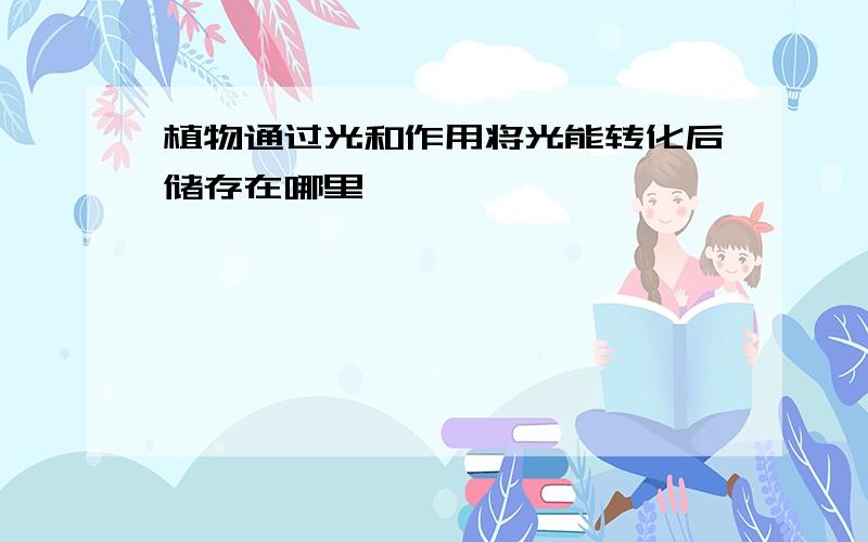 植物通过光和作用将光能转化后储存在哪里