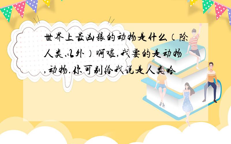 世界上最凶狠的动物是什么（除人类以外）啊喂,我要的是动物,动物.你可别给我说是人类哈