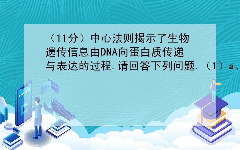 （11分）中心法则揭示了生物遗传信息由DNA向蛋白质传递与表达的过程.请回答下列问题.（1）a、b、c、d所表示的四个过程依次分别是________、_______、________和_______.（2）需要tRNA和核糖体同时