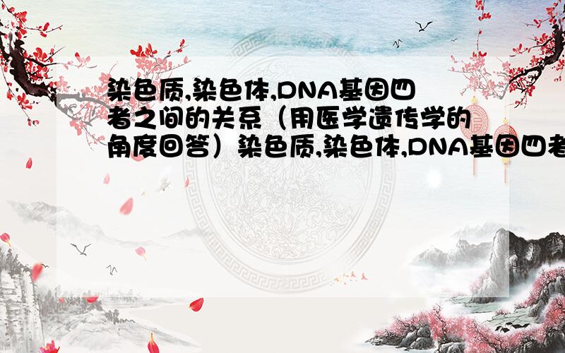 染色质,染色体,DNA基因四者之间的关系（用医学遗传学的角度回答）染色质,染色体,DNA基因四者之间的关系           希望尽量详细点 包括概念   （用医学遗传学的角度回答）                    注