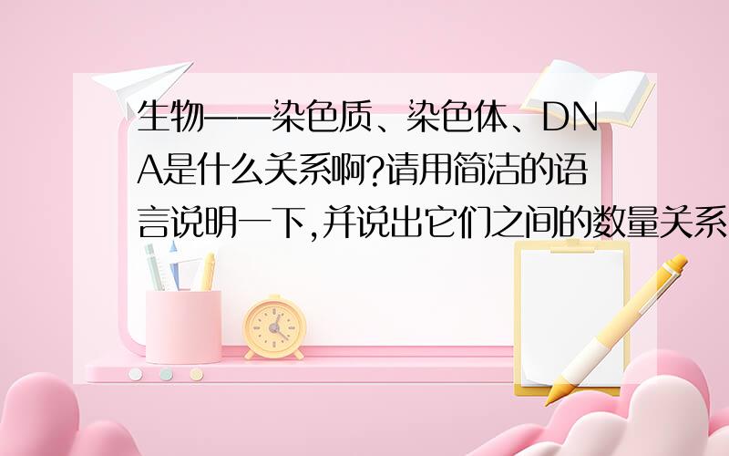 生物——染色质、染色体、DNA是什么关系啊?请用简洁的语言说明一下,并说出它们之间的数量关系