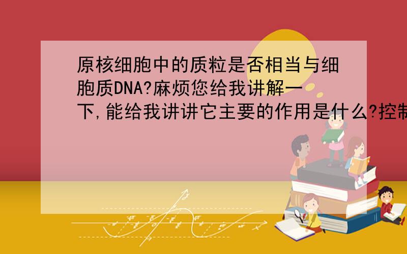 原核细胞中的质粒是否相当与细胞质DNA?麻烦您给我讲解一下,能给我讲讲它主要的作用是什么?控制哪些生命活动吗?