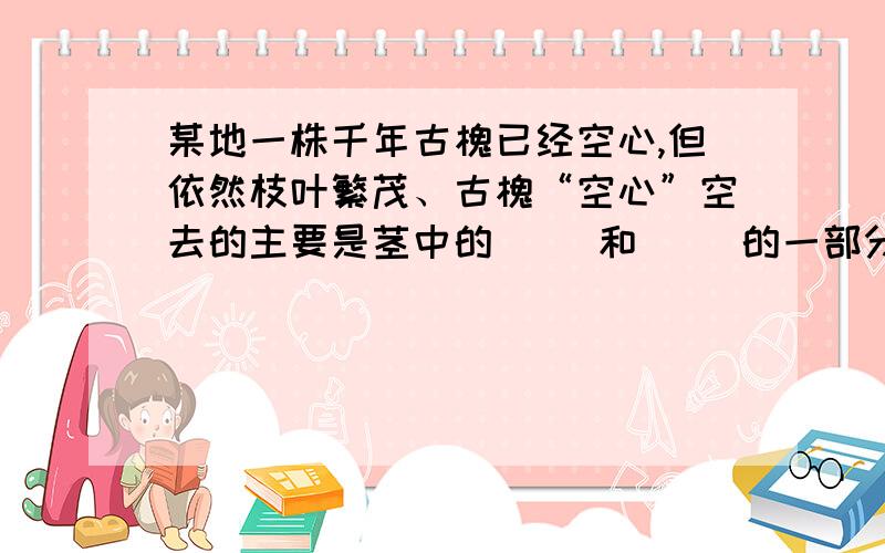 某地一株千年古槐已经空心,但依然枝叶繁茂、古槐“空心”空去的主要是茎中的（ ）和（ ）的一部分.感激不尽,要期末考了…………