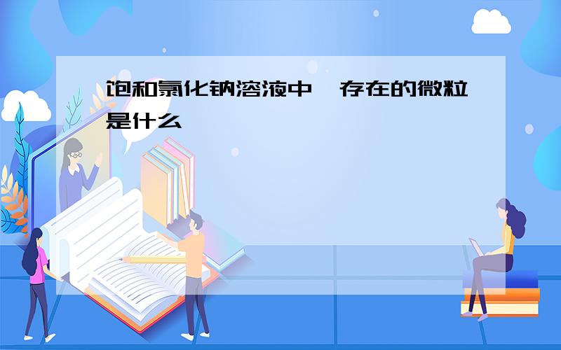 饱和氯化钠溶液中,存在的微粒是什么