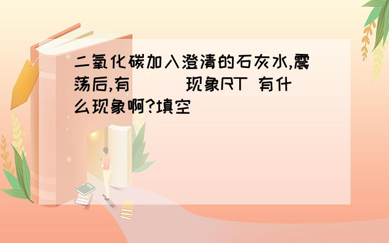 二氧化碳加入澄清的石灰水,震荡后,有___现象RT 有什么现象啊?填空