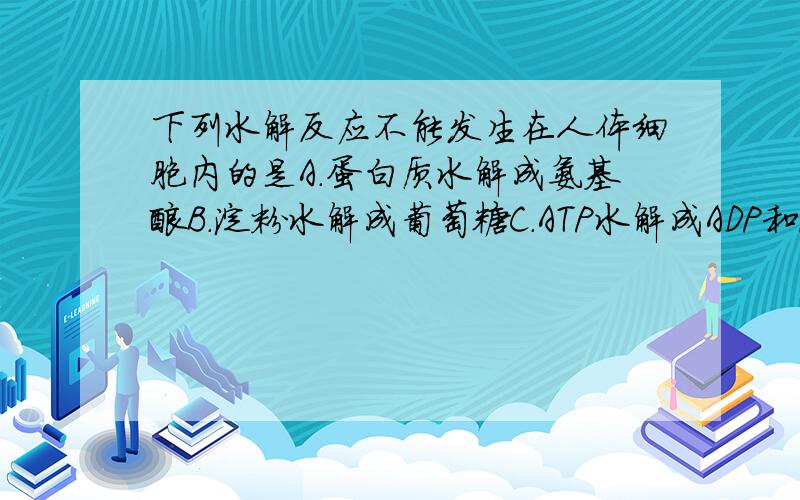 下列水解反应不能发生在人体细胞内的是A．蛋白质水解成氨基酸B．淀粉水解成葡萄糖C．ATP水解成ADP和Pi D．RNA水解成核糖核苷酸