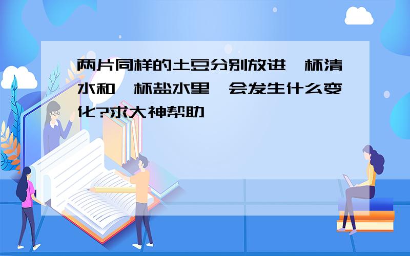 两片同样的土豆分别放进一杯清水和一杯盐水里,会发生什么变化?求大神帮助