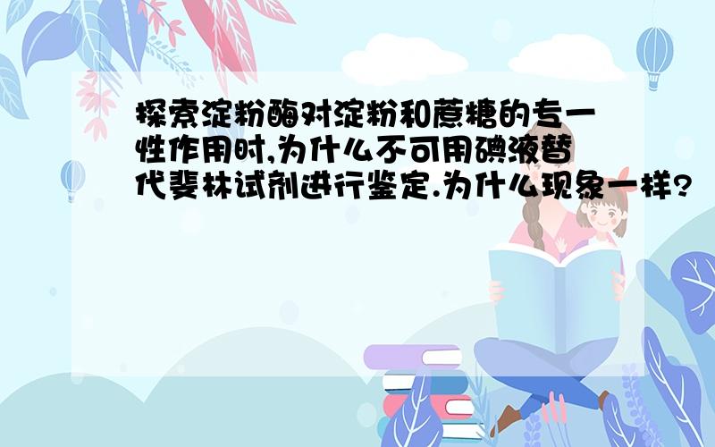 探索淀粉酶对淀粉和蔗糖的专一性作用时,为什么不可用碘液替代斐林试剂进行鉴定.为什么现象一样?