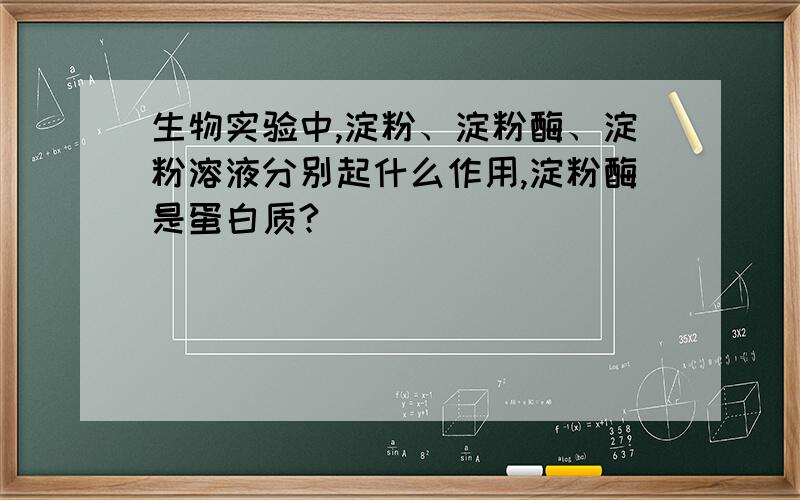 生物实验中,淀粉、淀粉酶、淀粉溶液分别起什么作用,淀粉酶是蛋白质?