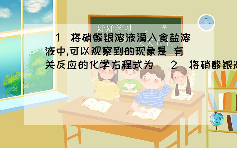 （1）将硝酸银溶液滴入食盐溶液中,可以观察到的现象是 有关反应的化学方程式为 （2）将硝酸银溶液滴入溴化钠溶液中,可以观察到的现象是 有关反应的化学方程式为（3）将硝酸银溶液滴