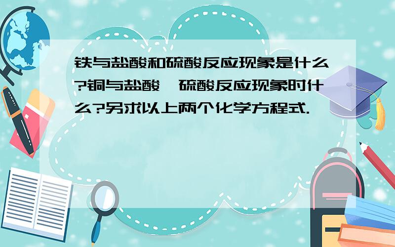 铁与盐酸和硫酸反应现象是什么?铜与盐酸,硫酸反应现象时什么?另求以上两个化学方程式.