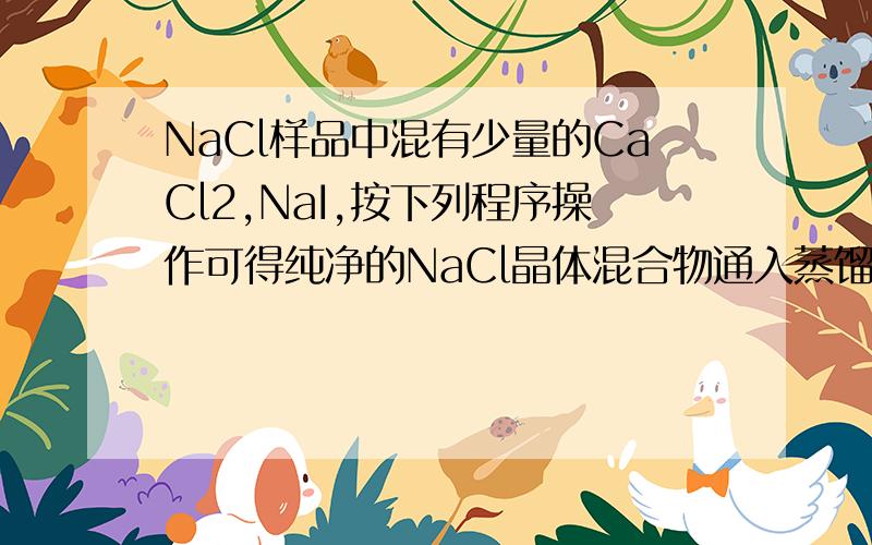 NaCl样品中混有少量的CaCl2,NaI,按下列程序操作可得纯净的NaCl晶体混合物通入蒸馏水得到无色溶液 再通入足量X气体,得到有色溶液 加入CCL4振荡分离：1.有色溶液 2.无色溶液通入过量Y溶液,过滤.