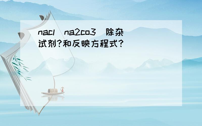 nacl（na2co3）除杂试剂?和反映方程式?