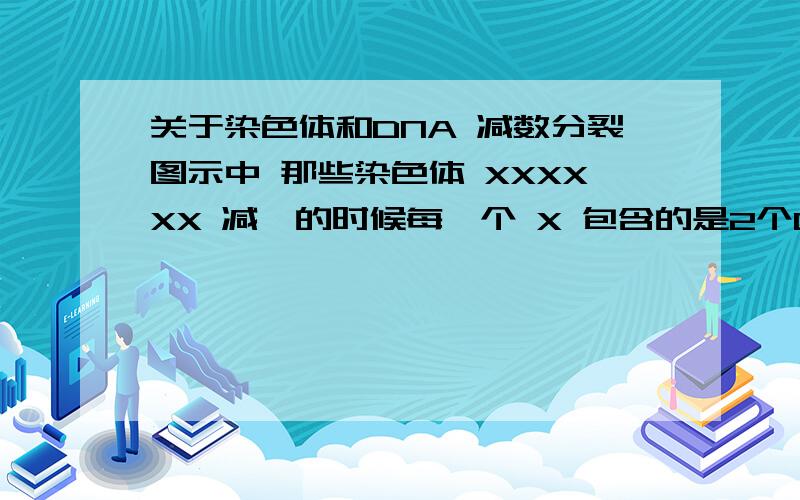 关于染色体和DNA 减数分裂图示中 那些染色体 XXXXXX 减一的时候每一个 X 包含的是2个DNA还是4个 也就是每条 \ 或 / 是2个还是1个DNAPS:如果是4个 那么我看到一条题是 减数分裂时四分体每个上面