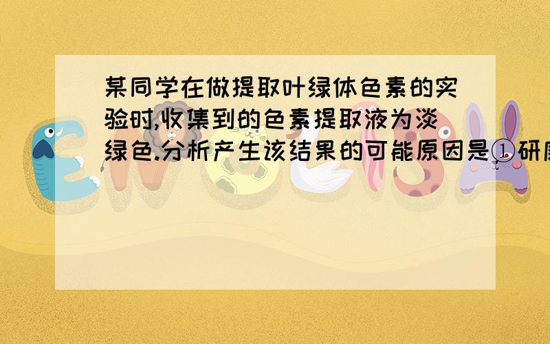 某同学在做提取叶绿体色素的实验时,收集到的色素提取液为淡绿色.分析产生该结果的可能原因是①研磨不充分,色素未能充分提取出来②乙醇加入量太多,稀释了色素提取液③乙醇加入量太少