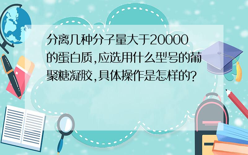 分离几种分子量大于20000的蛋白质,应选用什么型号的葡聚糖凝胶,具体操作是怎样的?