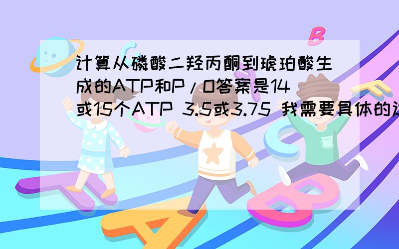 计算从磷酸二羟丙酮到琥珀酸生成的ATP和P/O答案是14或15个ATP 3.5或3.75 我需要具体的过程~